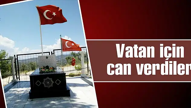 Vatan için can verdiler