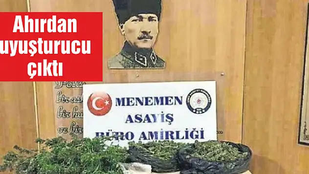Ahırdan uyuşturucu çıktı