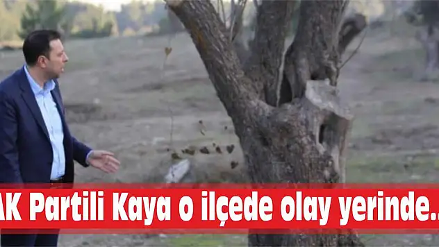 AK Partili Kaya o ilçede olay yerinde…