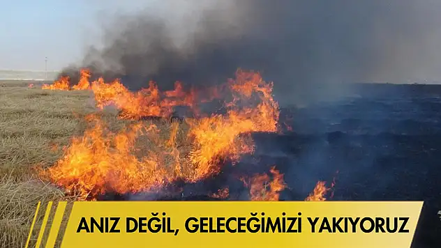 Anız değil, geleceğimizi yakıyoruz