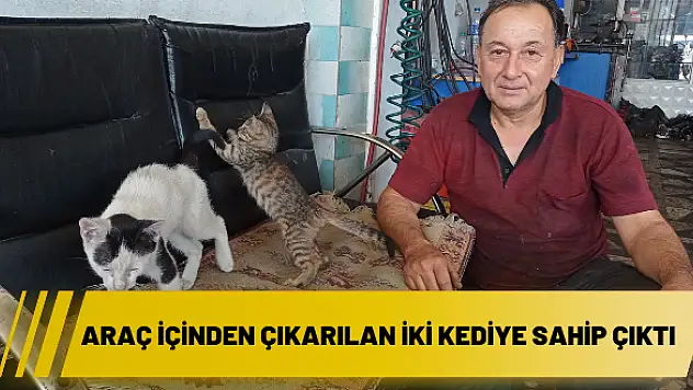 Araç içinden çıkarılan iki kediye sahip çıktı