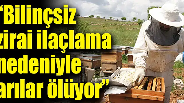 Arı üreticisi yanlış ilaçlamadan dertli