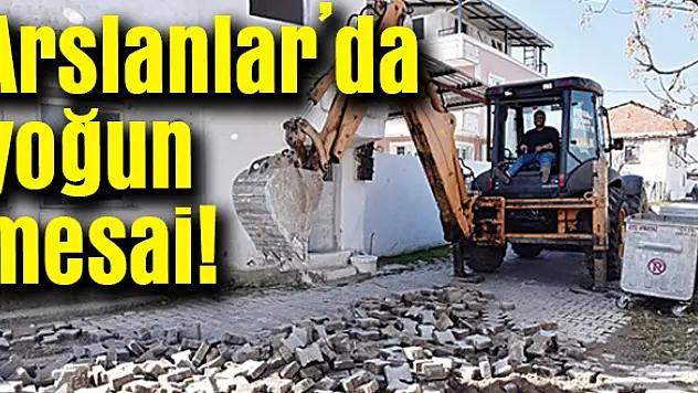Arslanlar’da yoğun mesai!