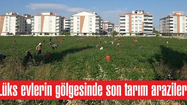 Artık kasaba değil