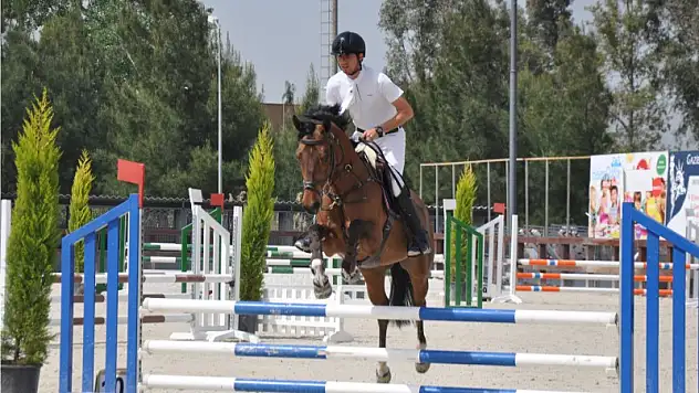 Atlar ödül için yarıştı