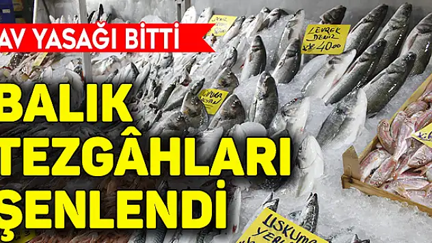 Av yasağı bitti, balık sezonu açıldı