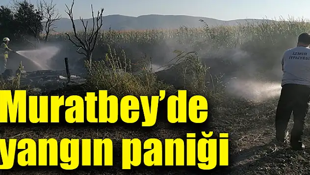 Aynı anda üç bölgede yangın