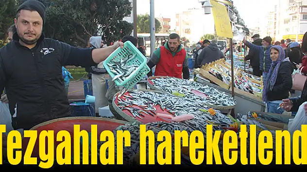 Balık fiyatları düştü