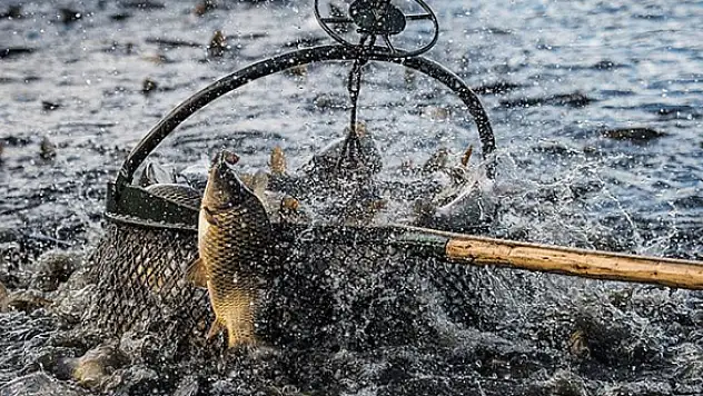 Balıkçılar sezondan umutlu