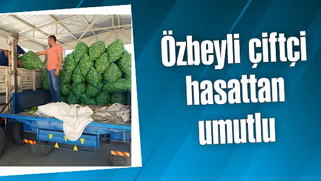 Balıkesire has biber