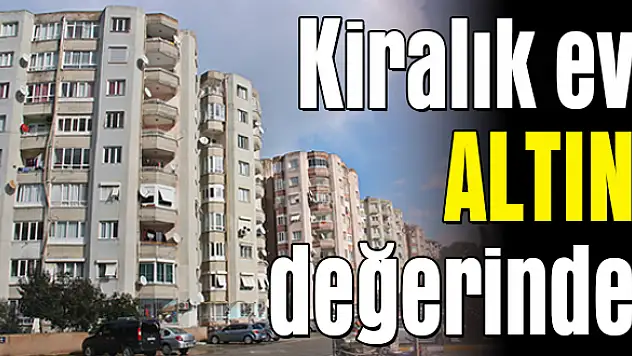 Barış'ta kiralık evler karaborsa