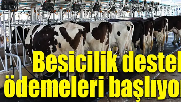 Başvuru koşulları netlik kazandı