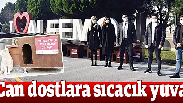 Belediye ve Alfemo'dan can dostlar için işbirliği