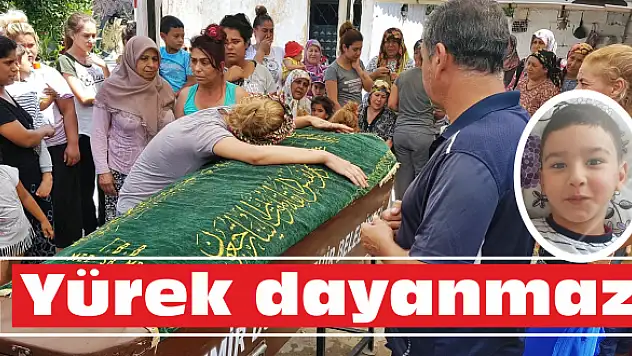'Beni bırakıp da nereye gidiyorsun?'