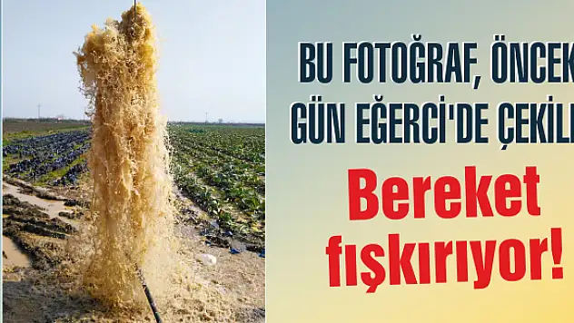 Bereket fışkırıyor!