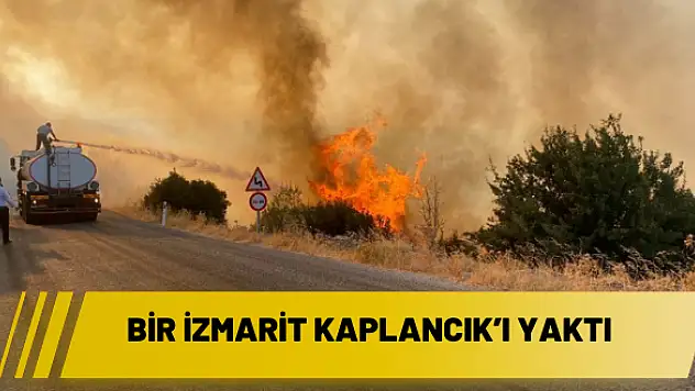 Bir izmarit Kaplancık'ı yaktı