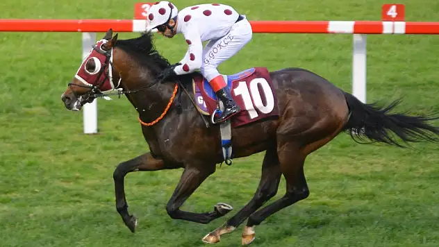 BU KEZ SCOUTLEO TORBALI'YA GELİYOR