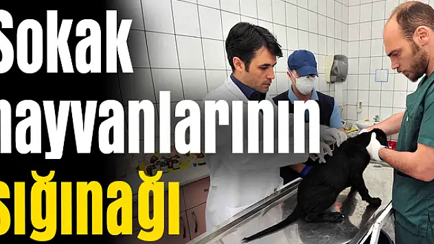 Bütün bakımları yapılıyor