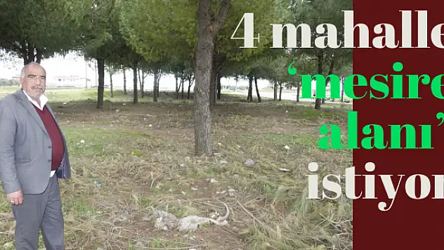 BÜYÜKŞEHİR'E DİLEKÇE VERDİLER