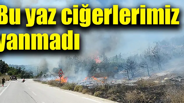 Çalışmalar sonuç verdi