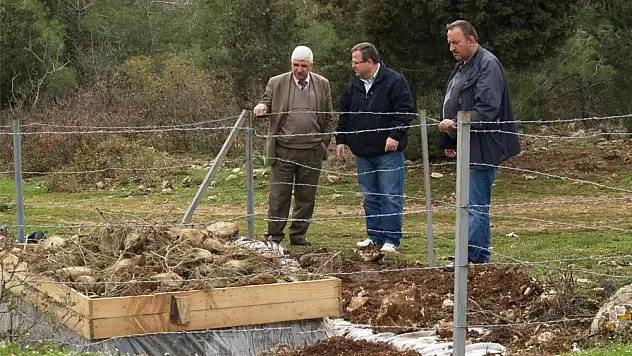 Çam kese böceğine Adacık müdahalesi