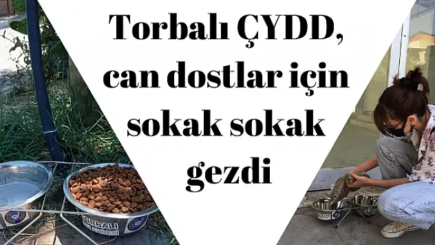 CAN DOSTLAR İÇİN SOKAK SOKAK GEZDİ