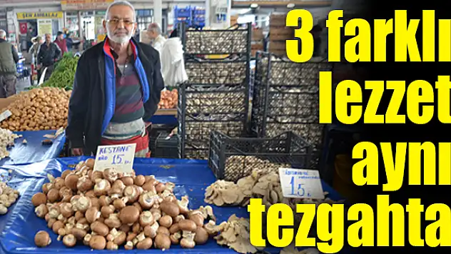 Çeşit bolluğu yaşanıyor