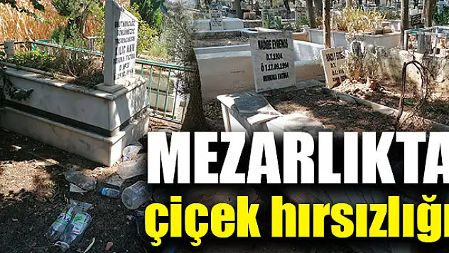 Çiçekleri para karşılığında satıyorlar