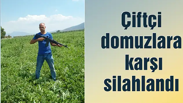 Çiftçi domuzlara karşı silahlandı