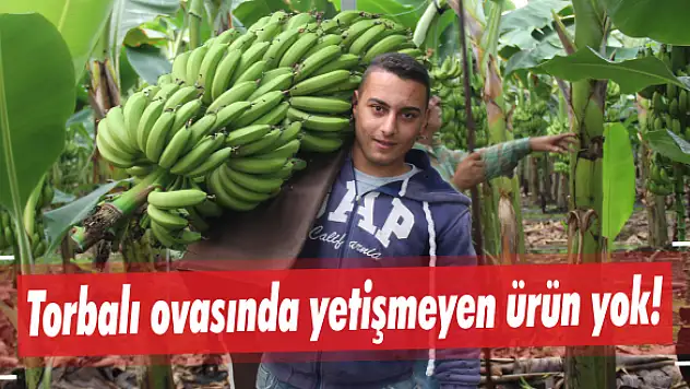 Çiftçi, geleneksel ürünlere alternatif buldu