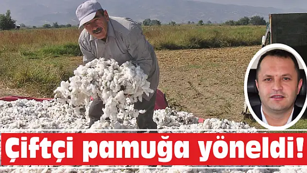 Çiftçi pamuğa yöneldi!