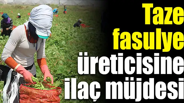 Çiftçilere ilaç tavsiyesi