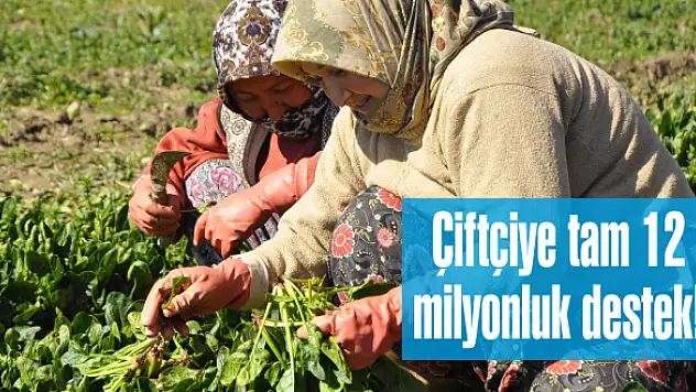 Çiftçiye tam 12 milyonluk destek!