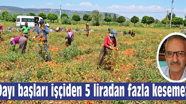 Dayı başlarının keyfi ücret politikası