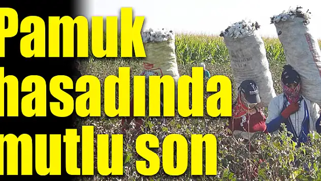 Dekarda 500 kilo verdi