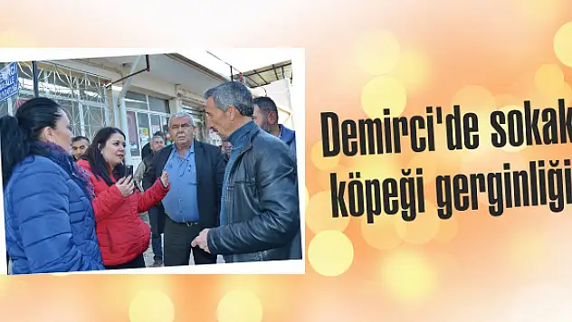 Demirci'de sokak köpeği gerginliği