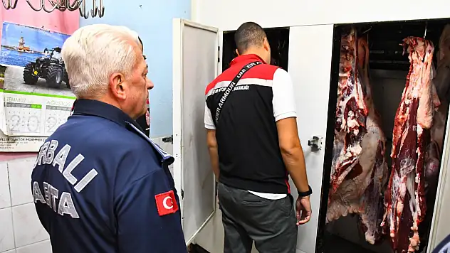 Denetimler aralıksız sürüyor