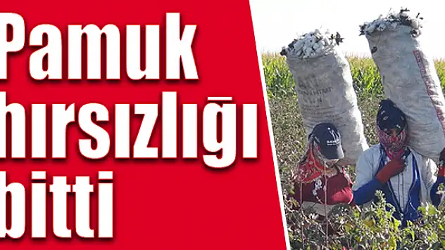 Denetimler sonuç verdi