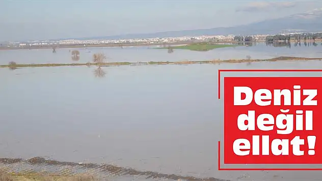 Deniz değil, Cellat!