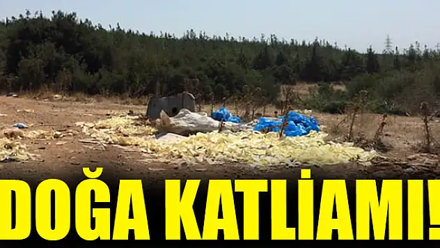 Doğa katliamı!