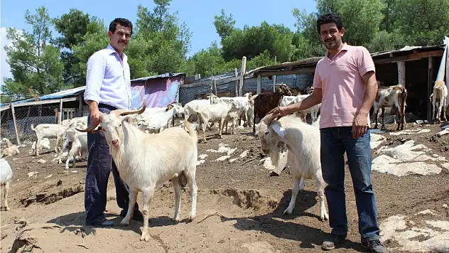 Doğanın ortasında organik lezzetler