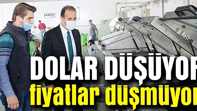 Dolar düşüyor fiyatlar düşmüyor