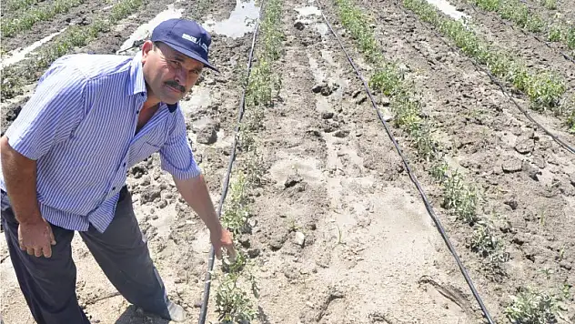 Domatese yağmur freni