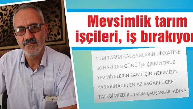 Domatese zam darbesi