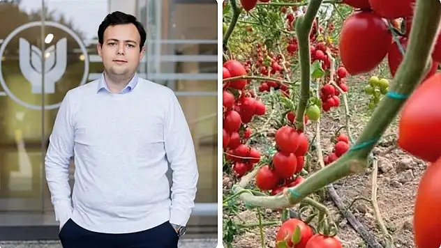 Domateste güneş enerjili akıllı sera dönemi başladı