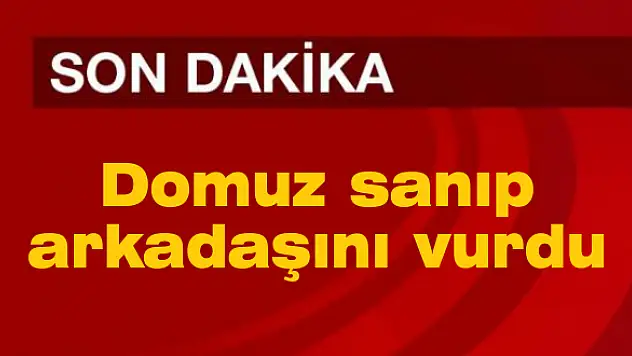 Domuz sanıp, arkadaşını vurdu