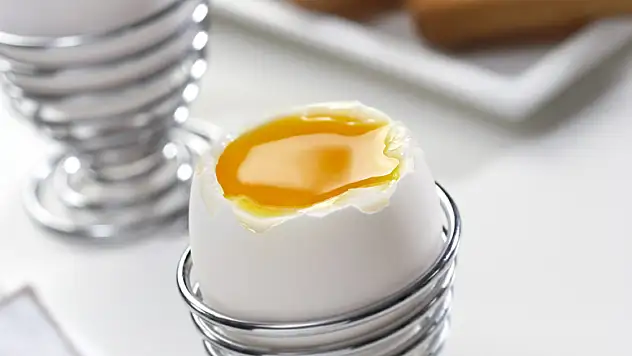 EİB: Yumurtaya getirilen 1,5 dolar fon aceleyle alınmış bir karar