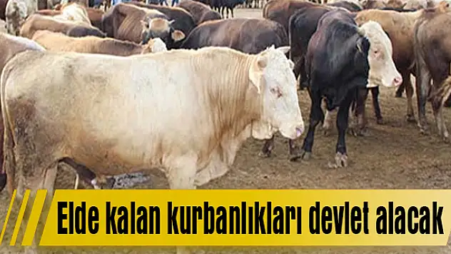Elde kalan kurbanlıkları devlet alacak
