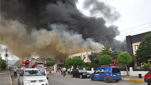 Elektrik 'yaktı' bizi!