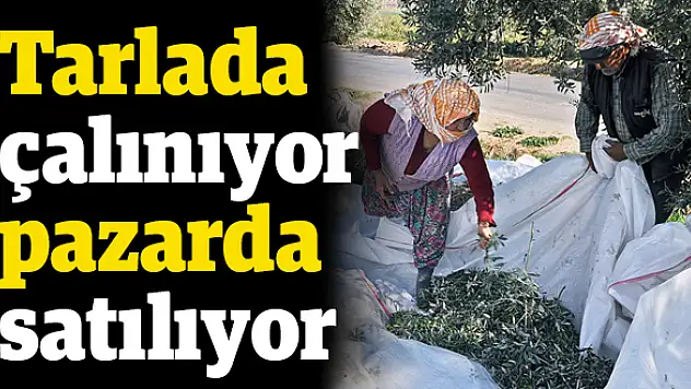 Emeğe göz dikiliyor